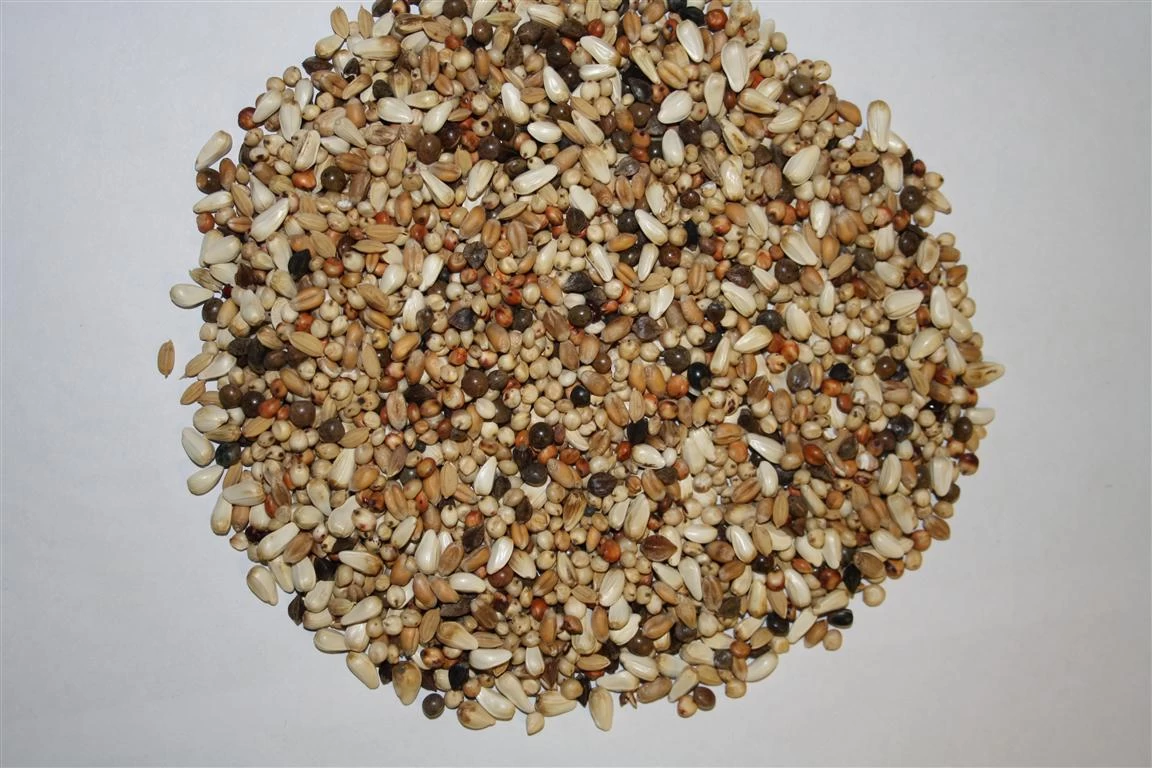 Paloma Nr.10 W.S. Diamond 20kg 3 Paloma Nr.10 W.S. Diamond 20kg