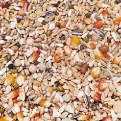 Vanrobaeys Nr.49 Sport Junior Pro - Revolution 20kg