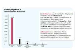 Versele Superstar Plus IC+ Black Label 20kg -Haustierprodukte antioxidantien 214