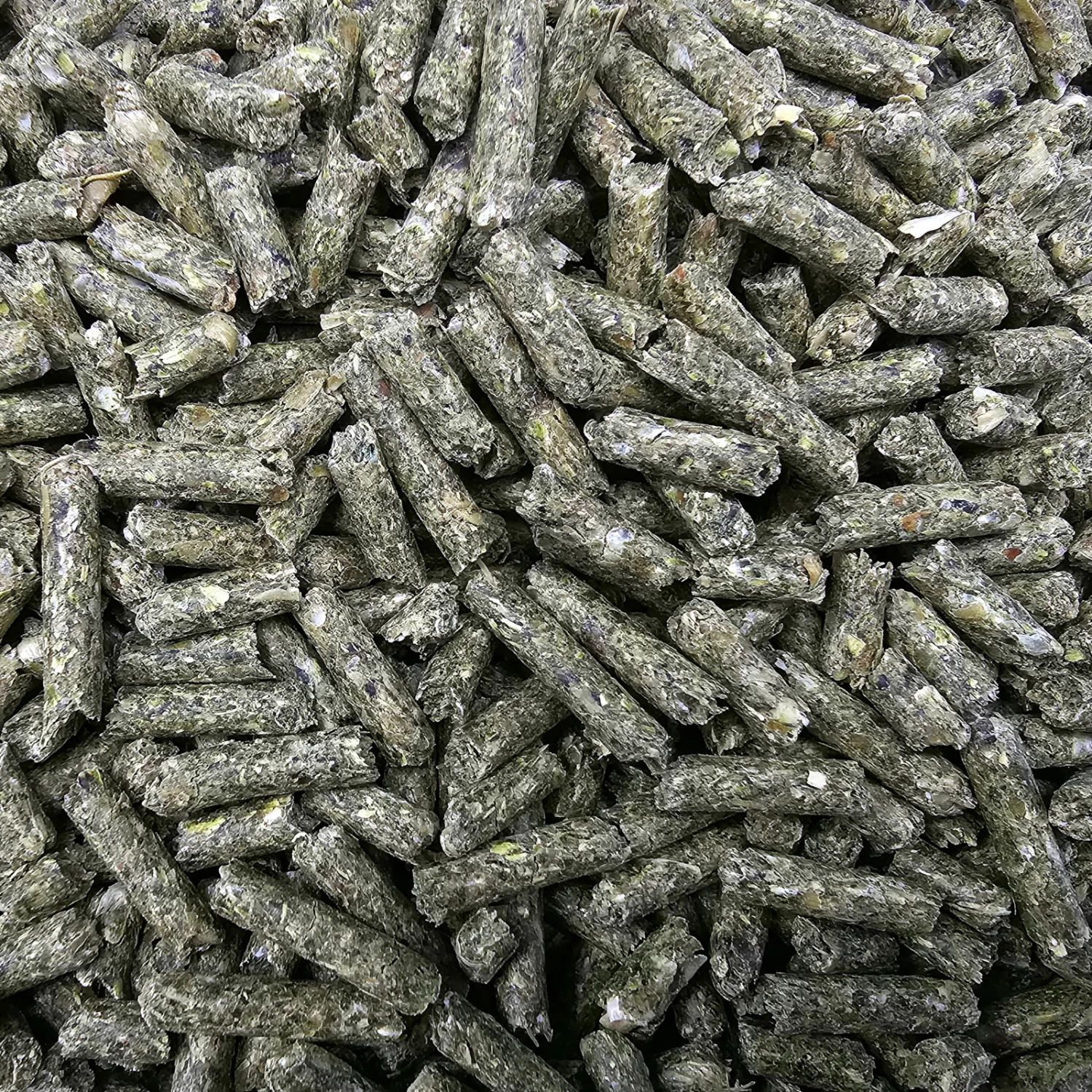 Berkel Chinchilla-Gold-KR 25kg