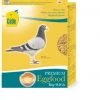 Cede Eifutter Für Tauben 5kg -Haustierprodukte cede eifutter fr tauben 5kg