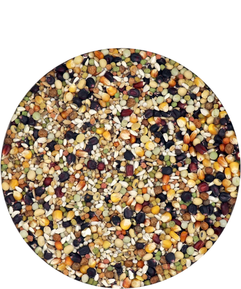 Versele Champion Plus IC+ Black Label, 20kg 3 Versele Champion Plus IC+ Black Label, 20kg