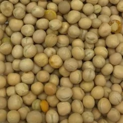 VERSELE-LAGA Erbsen Gelb - Versele 25kg