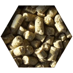 Beyers Goldcorn Koopman 2,5kg -Haustierprodukte goldcorn