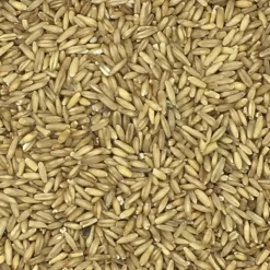 Haferkerne - Vanrobaeys 25kg