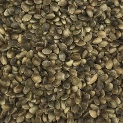 Hanfsaat Mittel - Gladen 20kg