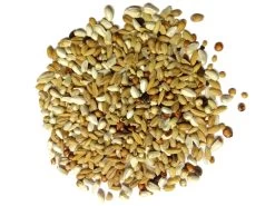 Paloma Nr.19 Diamond Diät 20kg