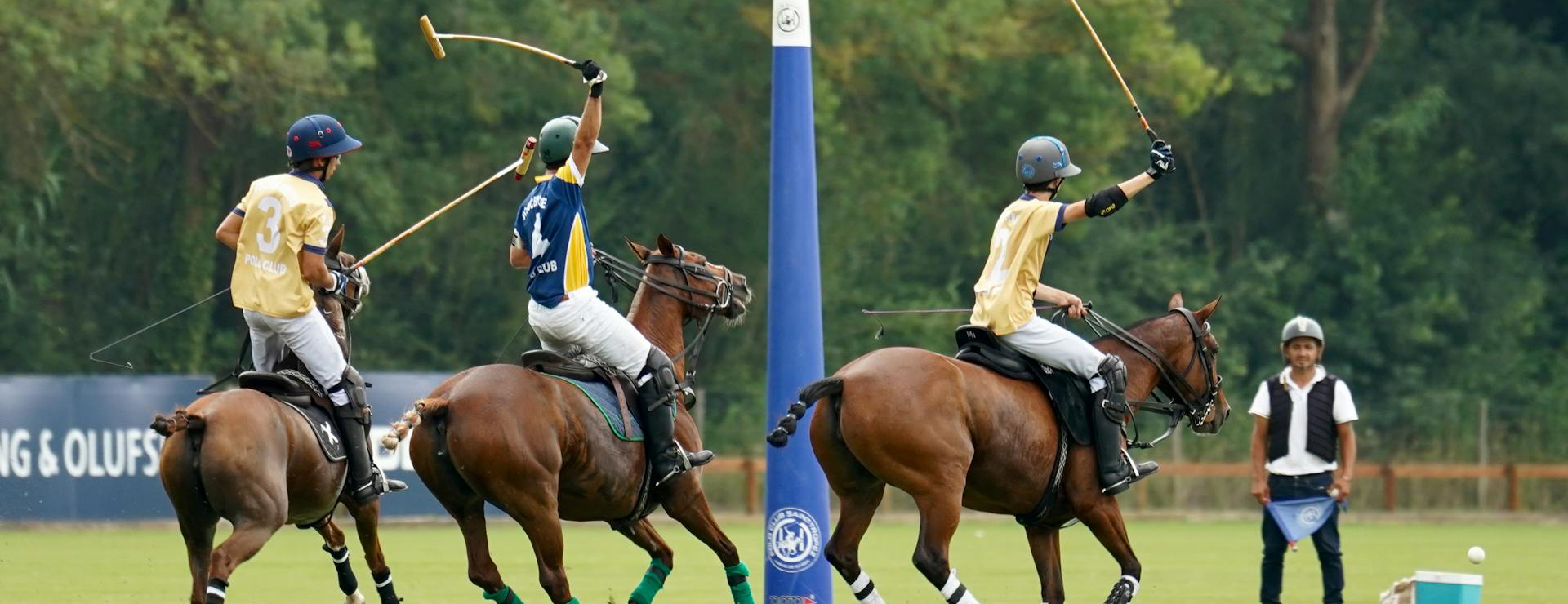 Haustierprodukte 3 Haustierprodukte -Haustierprodukte pexels 2150381842 31292750