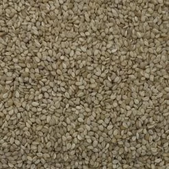 Sesamsaat - Vanrobaeys 25kg