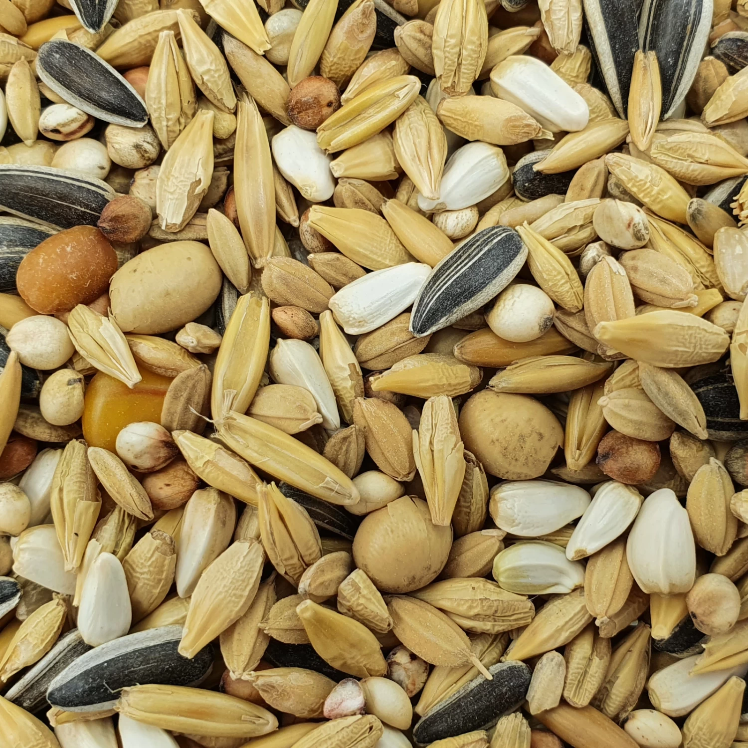 Spinne Huth 4 20kg 3 Spinne Huth 4 20kg