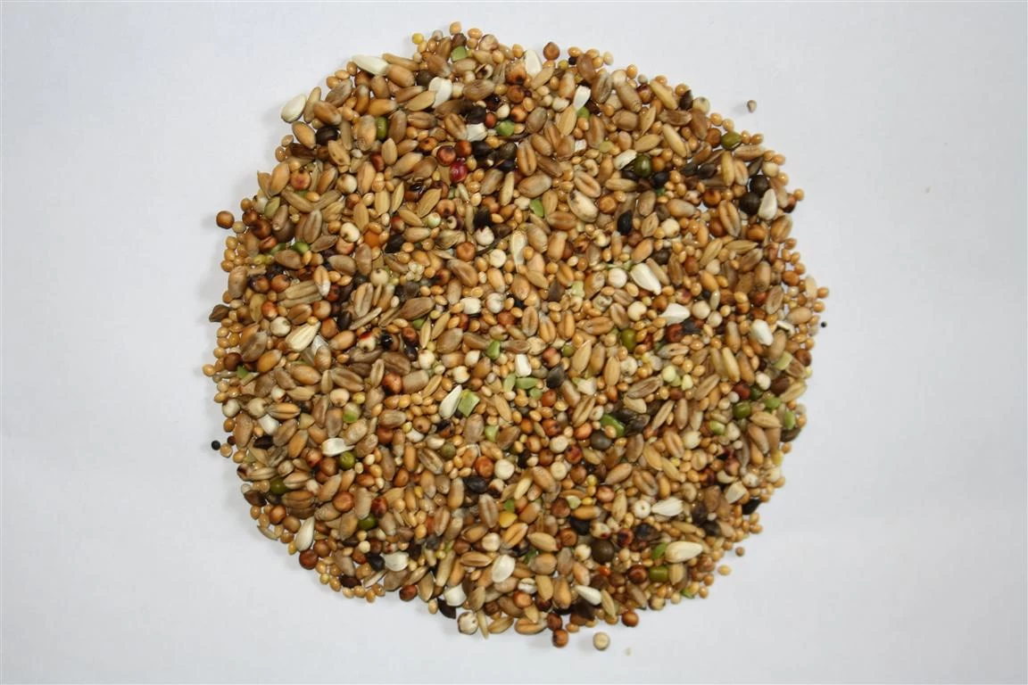 Versele Turteltaubenfutter Prestige 20kg 5 Versele Turteltaubenfutter Prestige 20kg – Bild 3