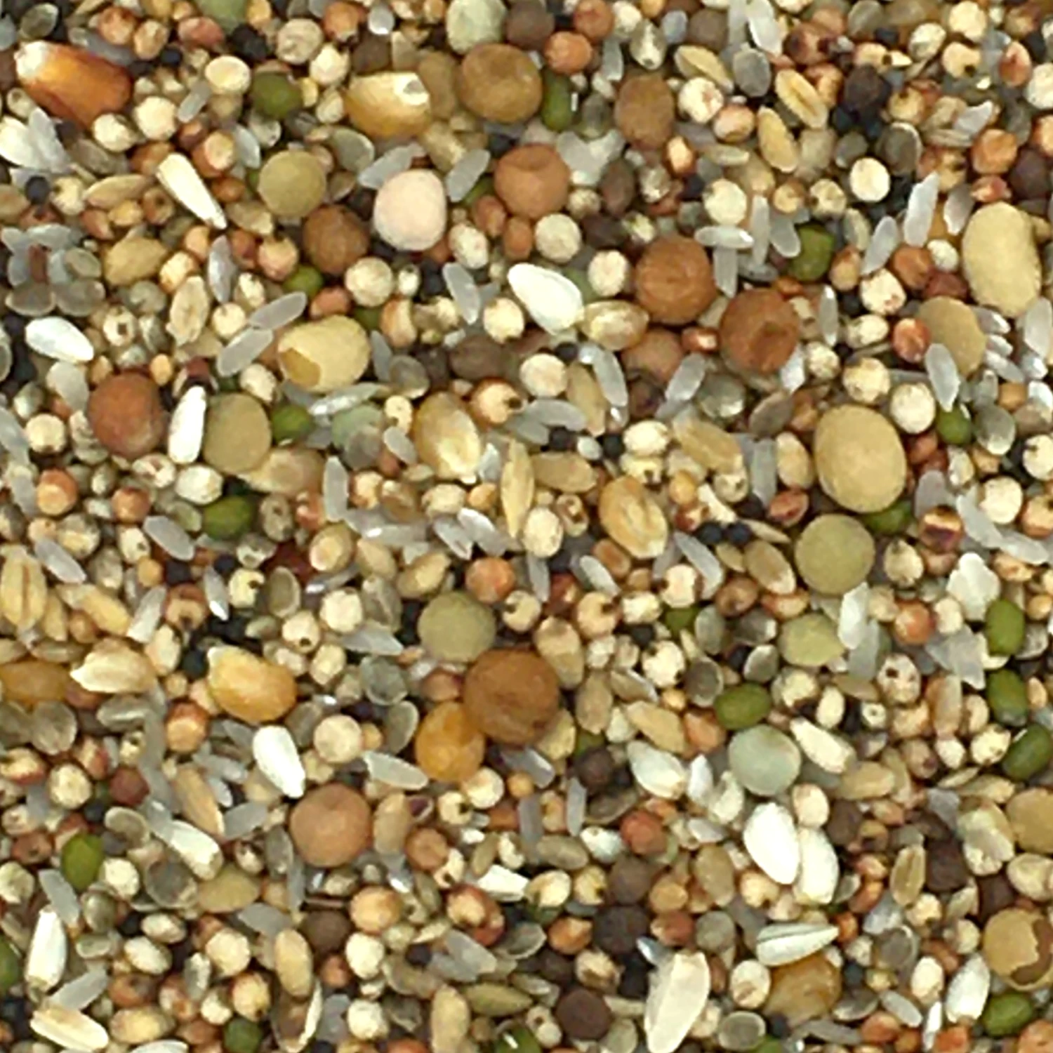 Vanrobaeys Nr.182 Zucht Premium Power 20kg 3 Vanrobaeys Nr.182 Zucht Premium Power 20kg