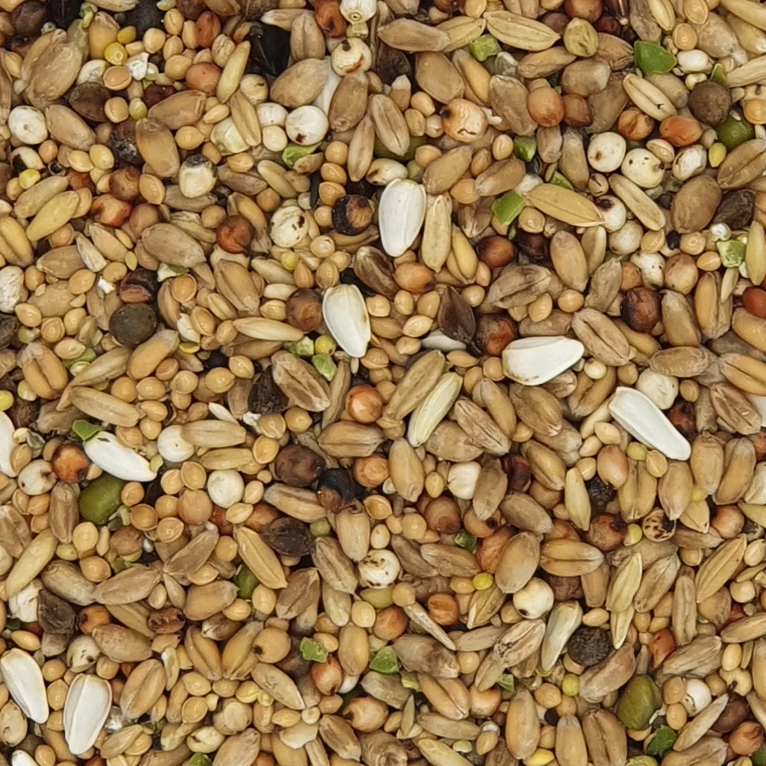 Versele Turteltaubenfutter Prestige 20kg 3 Versele Turteltaubenfutter Prestige 20kg