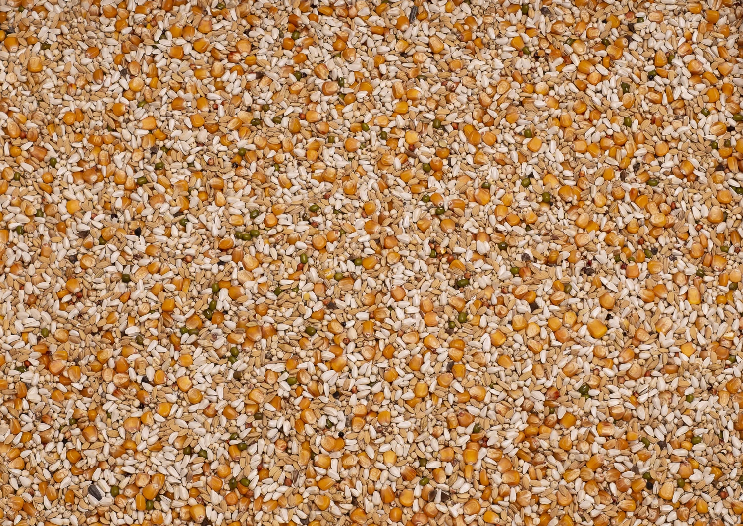 Beyers Premium Vandenabeele 20Kg 3 Beyers Premium Vandenabeele 20Kg