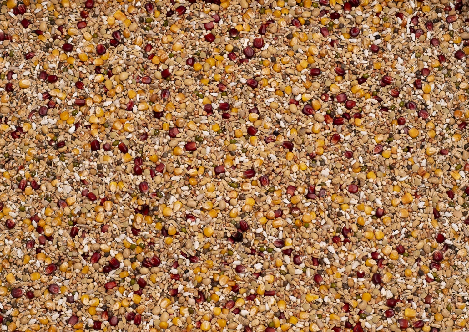 Beyers Premium Enzymix Energy 25Kg 3 Beyers Premium Enzymix Energy 25Kg